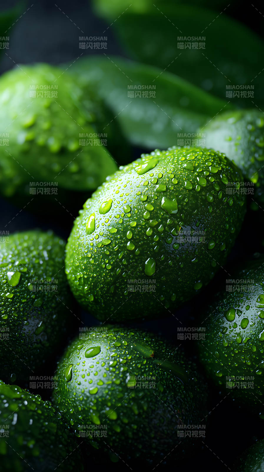 青翠欲滴的鱷梨-圖片