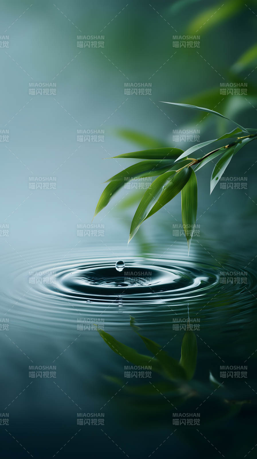 滴水漣漪竹葉清新-圖片