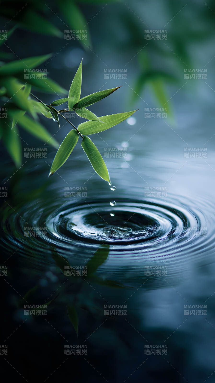 竹葉水滴漣漪瞬間-圖片