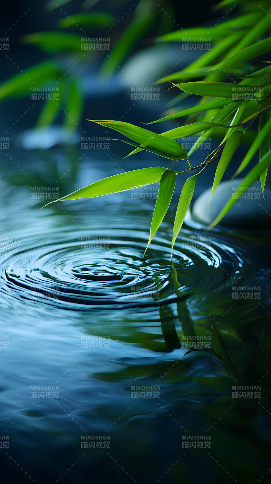 竹葉水波蕩漾自然-圖片