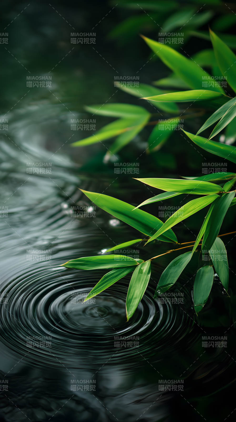 竹葉水波平靜意境-圖片