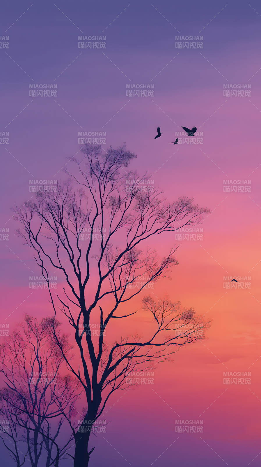 夕阳下的树与鸟飞翔图片