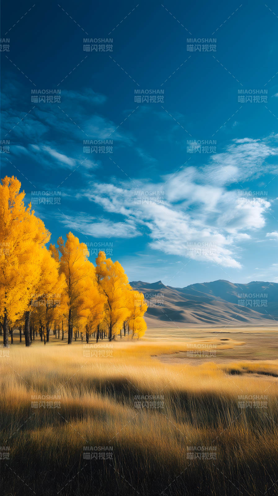金色秋日風景畫-圖片