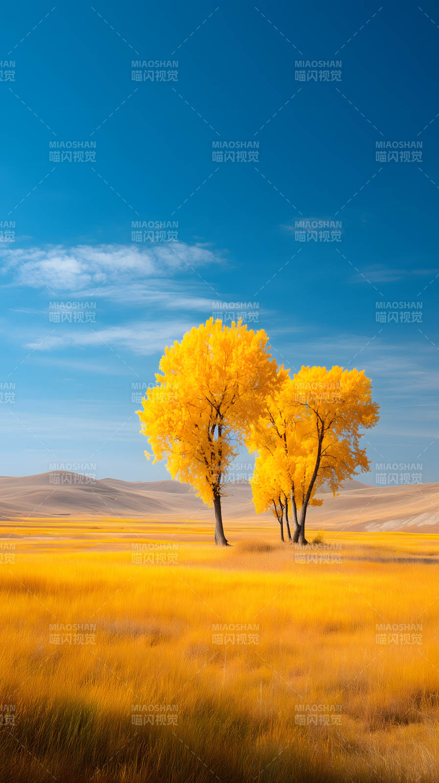 秋日金黃風景畫-圖片