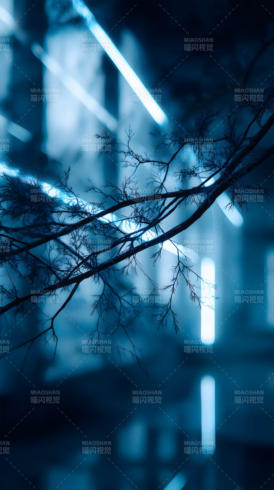 藍(lán)調(diào)枝條光影交錯(cuò)-圖片
