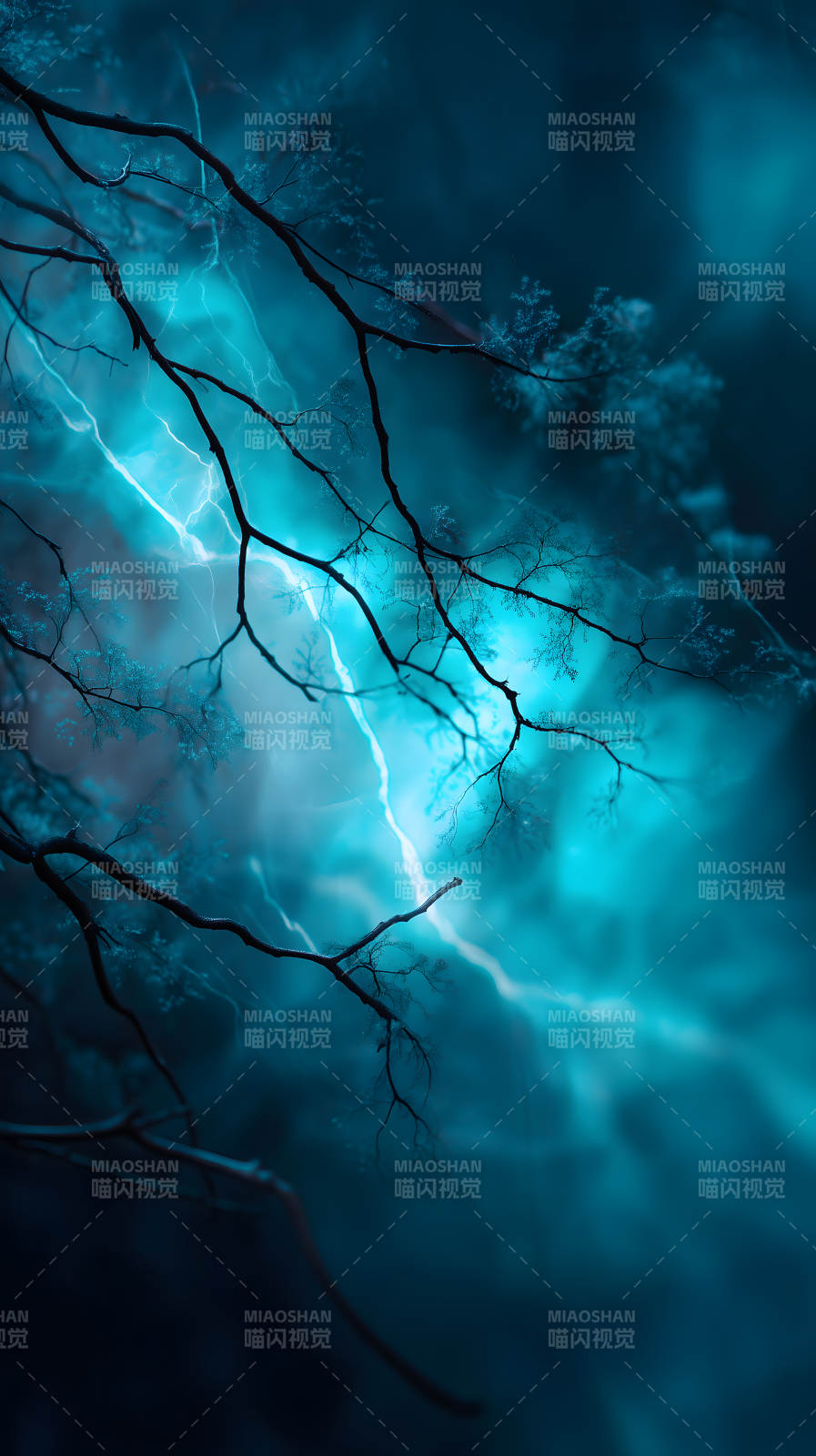 樹枝閃電交織景象-圖片