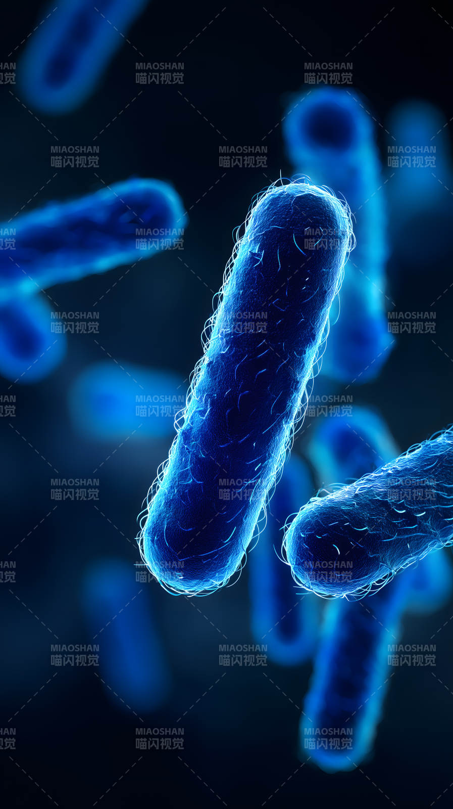 細菌微觀世界-圖片