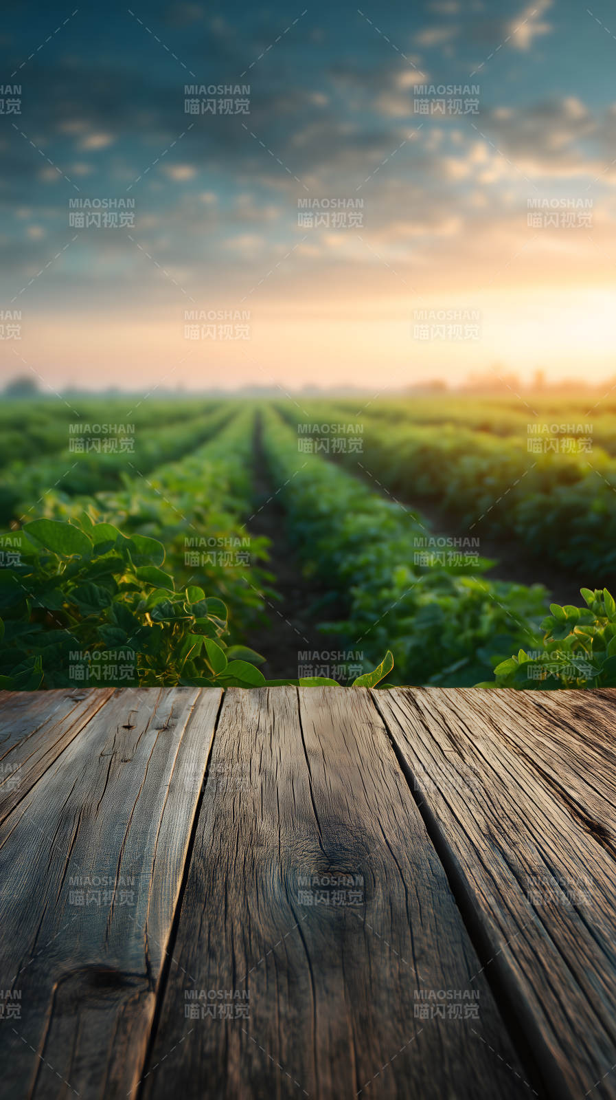 田园风光木板-图片