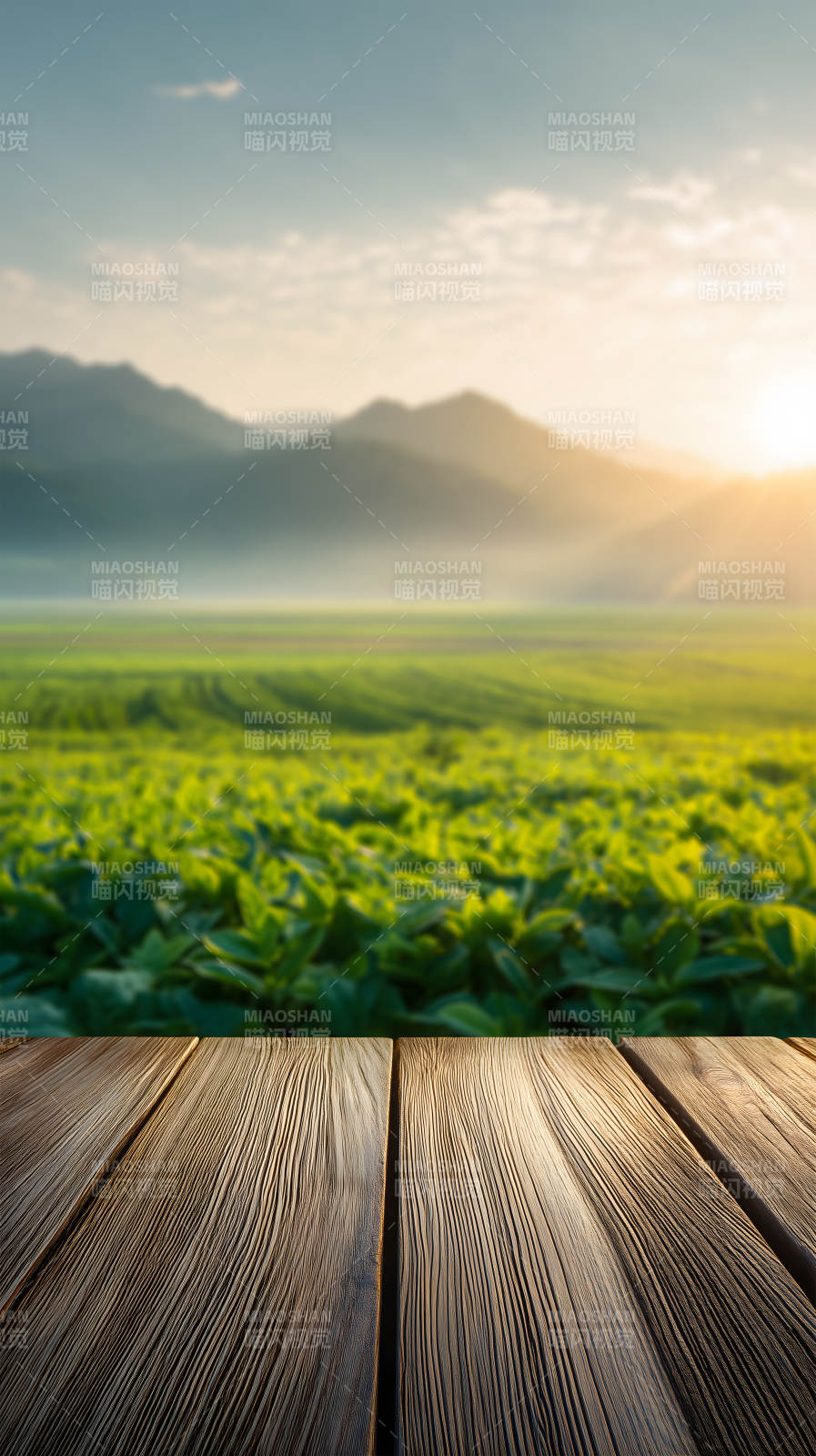 田园风光木板-图片