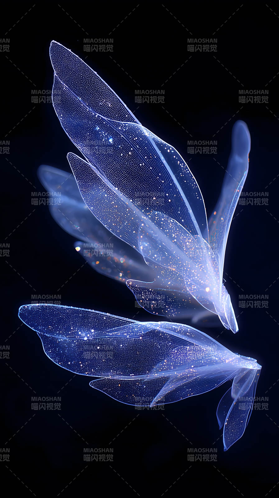 夢幻翅膀夜空飛舞-圖片