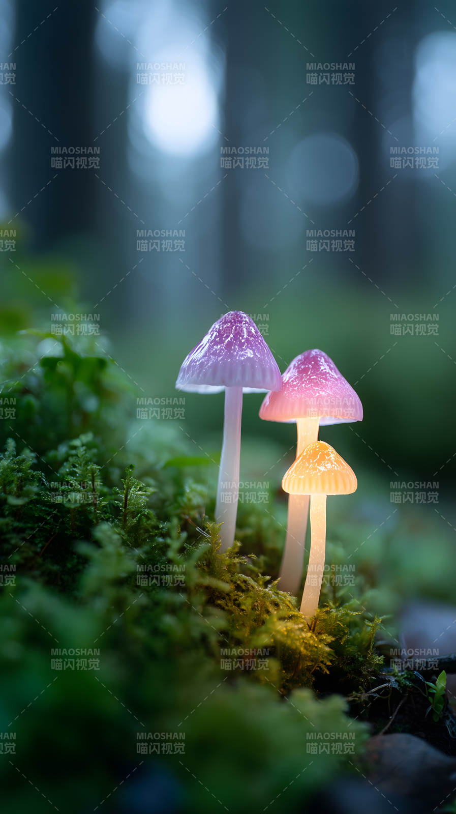 发光蘑菇仙境-图片