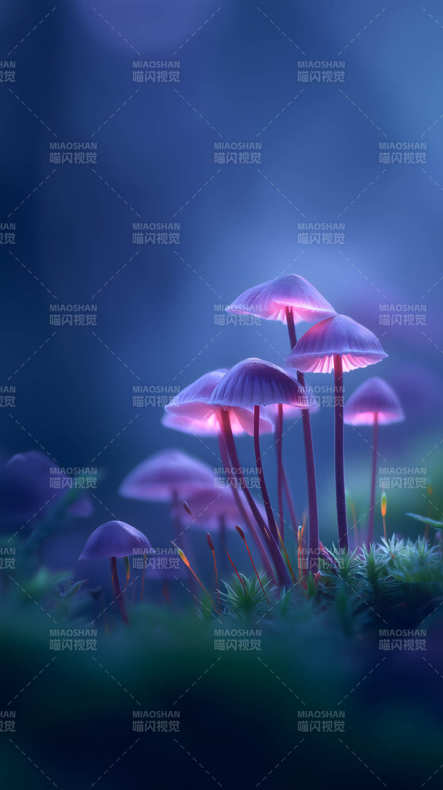 梦幻紫色蘑菇森林-图片