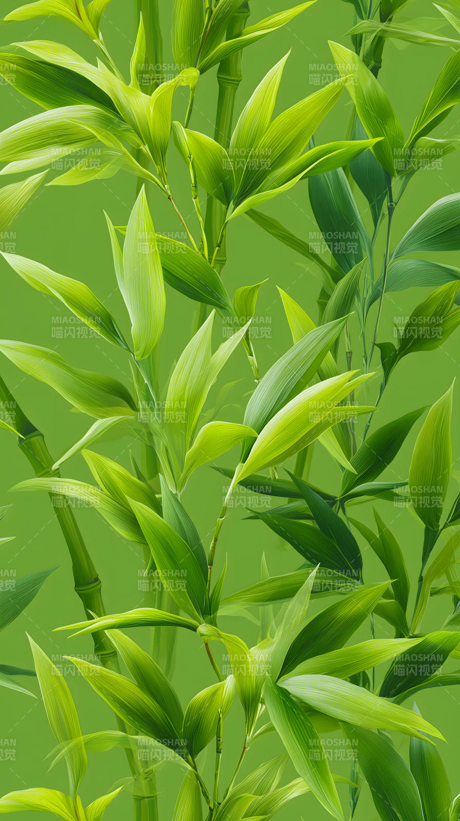 翠绿竹林风姿-图片