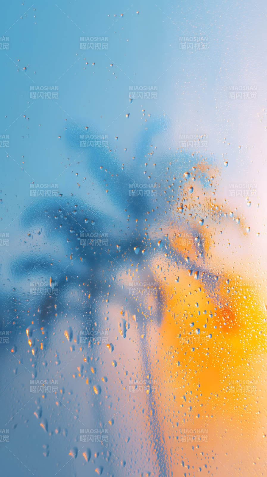 水珠映衬光影景象-图片