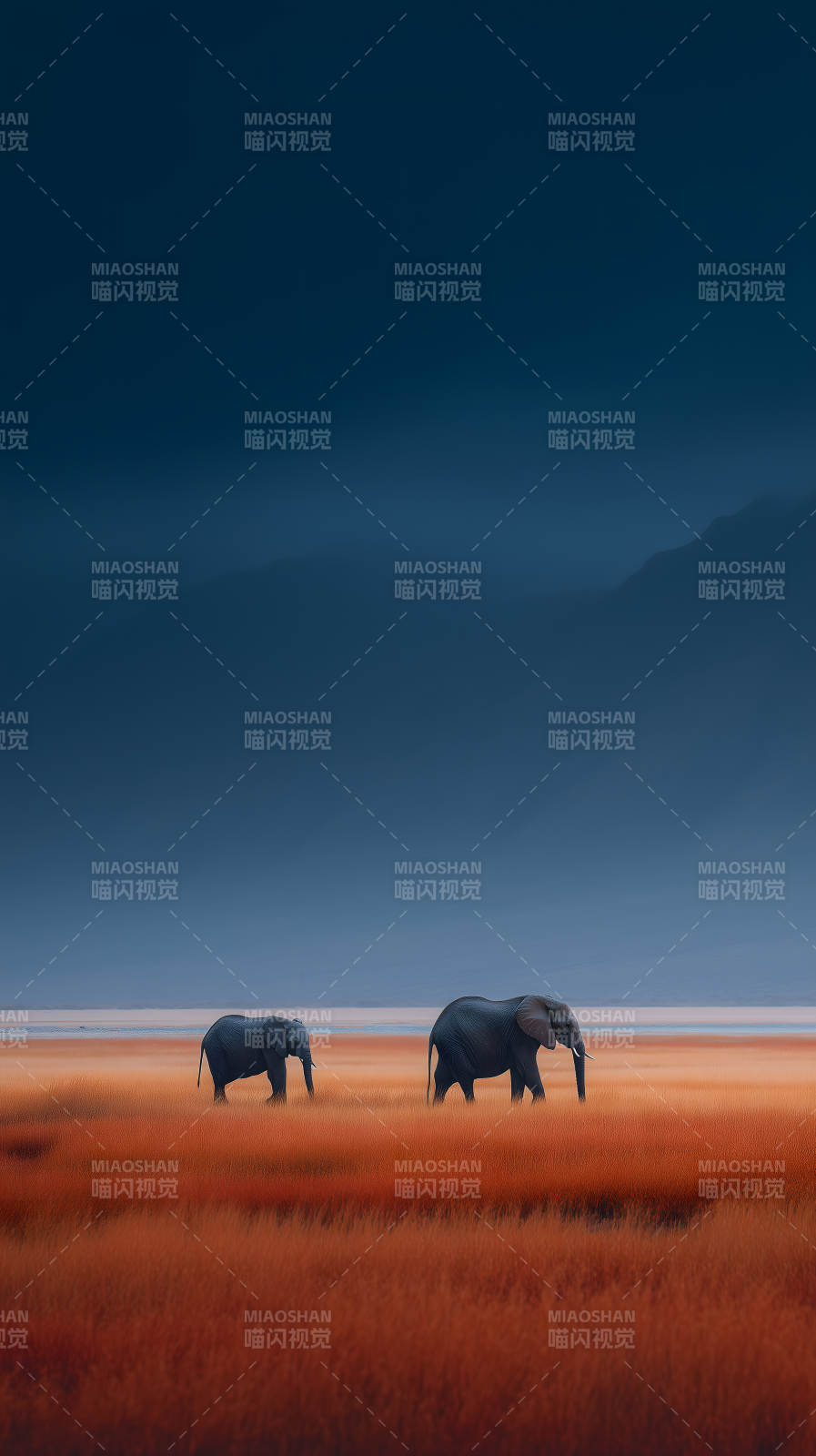 草原象群步入暮色-图片