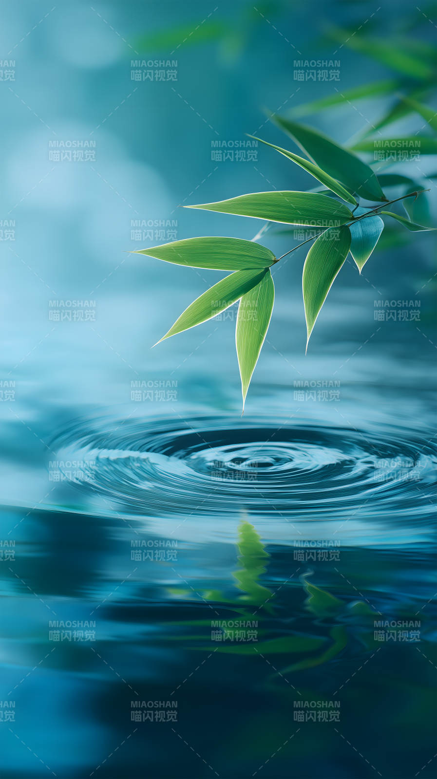 竹影水波生機盎然-圖片