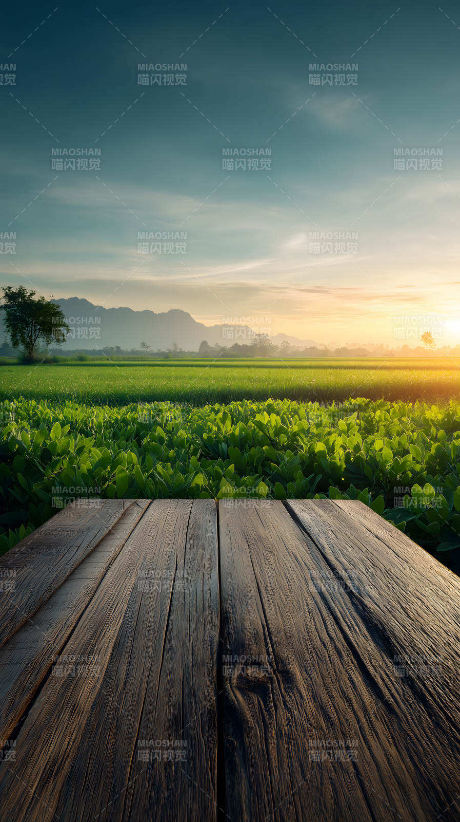 田園風光木板前景-圖片