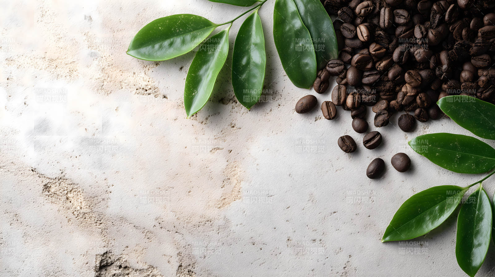 咖啡豆與綠葉的靜物-圖片