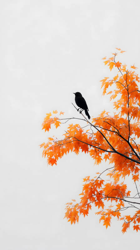 秋日鳥與橙葉-圖片