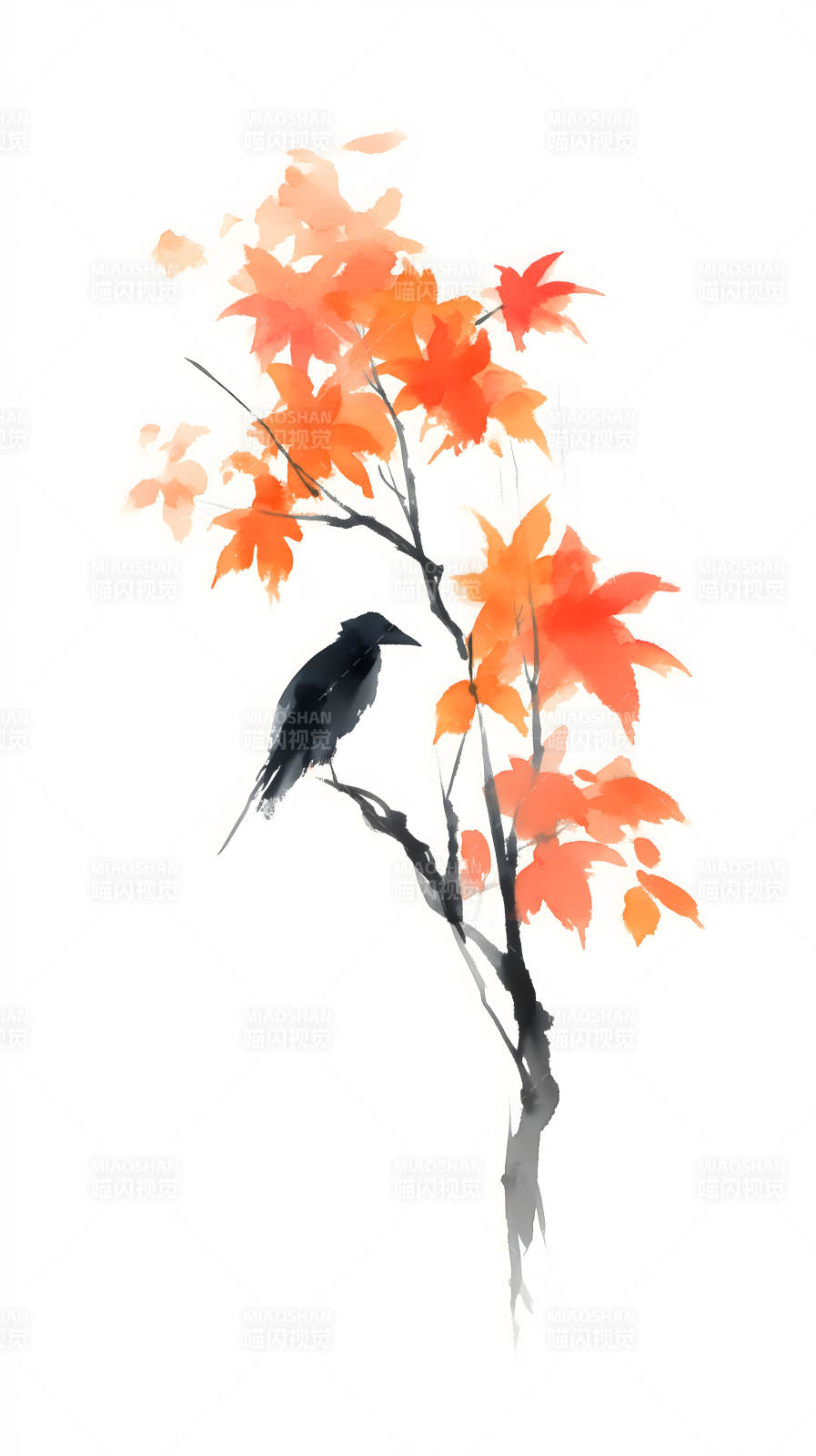 秋日楓樹烏鴉圖-圖片