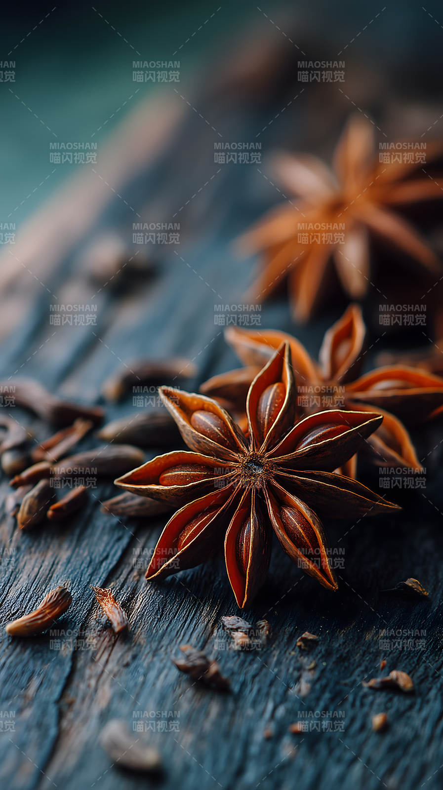 茴香星狀特寫-圖片