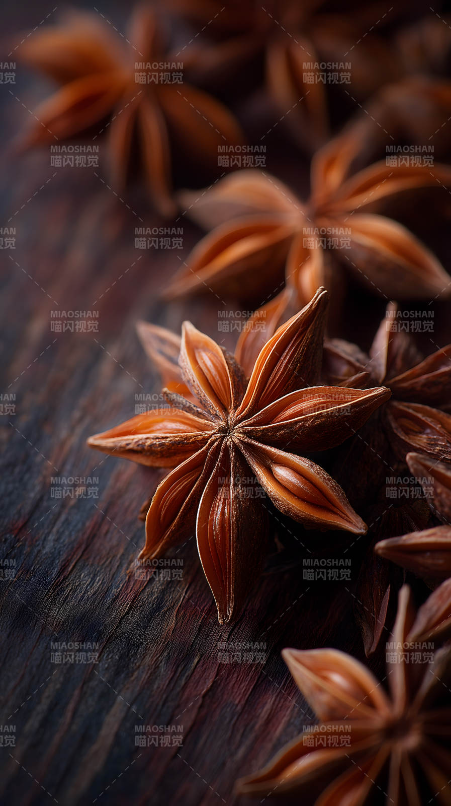 星形茴香特寫-圖片