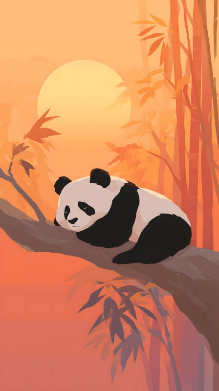 熊貓樹上小憩暖陽夕照-圖片