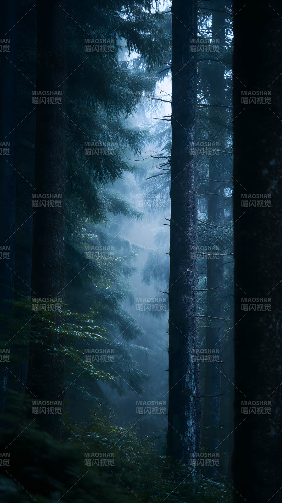 迷雾森林幽深幽暗-图片