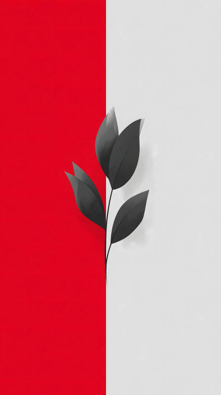 紅白花朵簡約圖-圖片