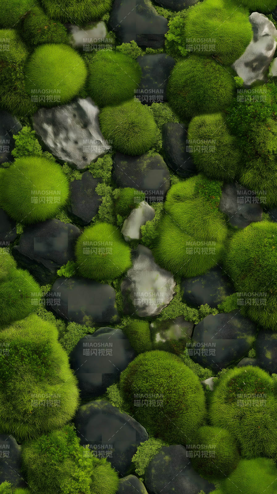 苔蘚覆蓋巖石-圖片