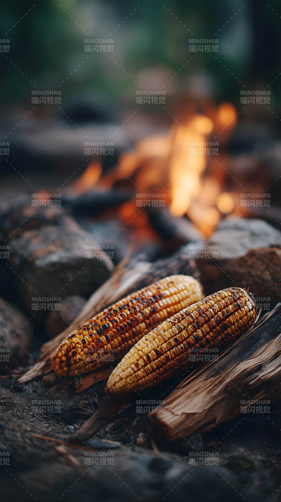 烤玉米篝火美食-圖片