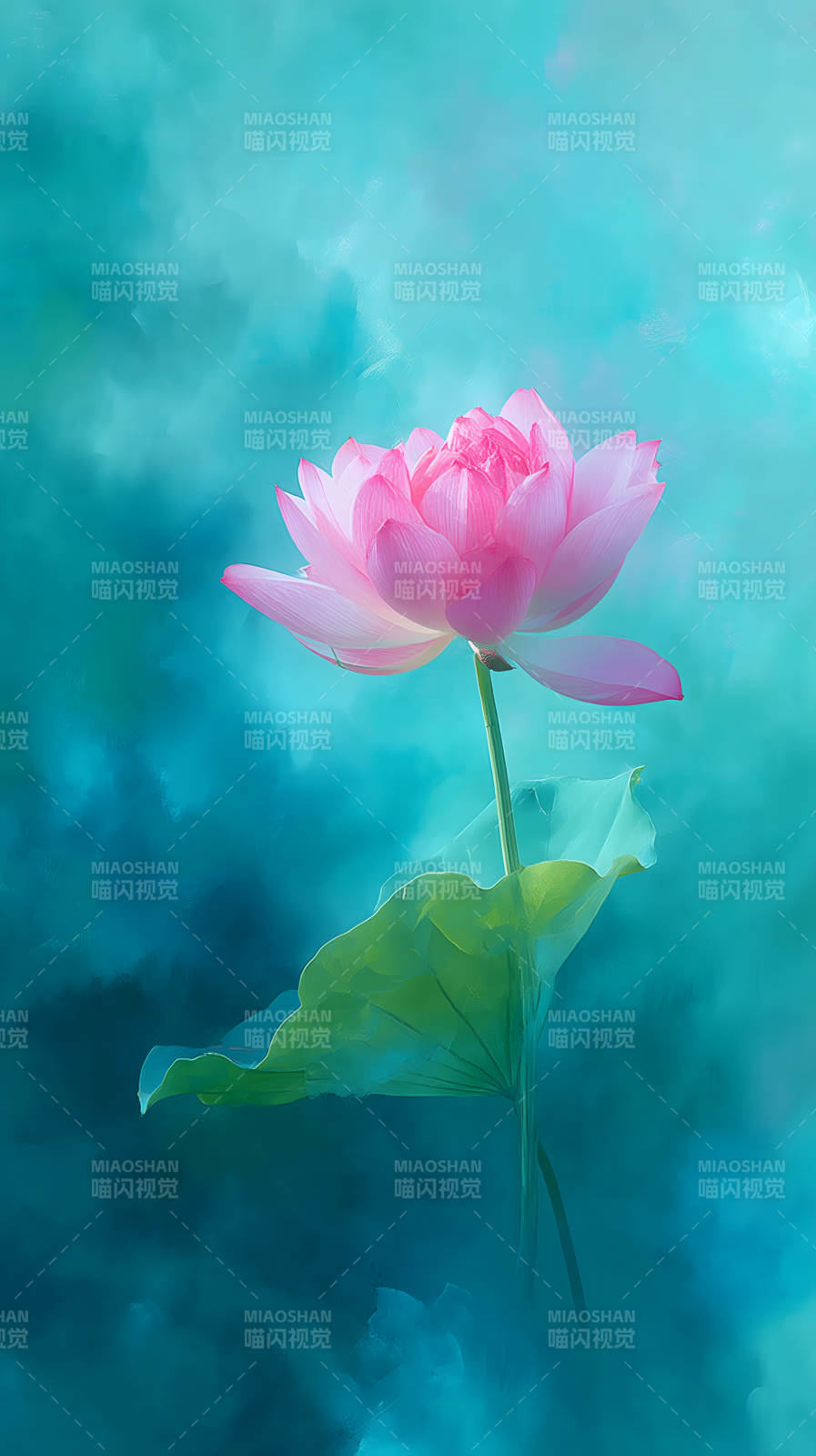 粉色莲花水中绽放-图片