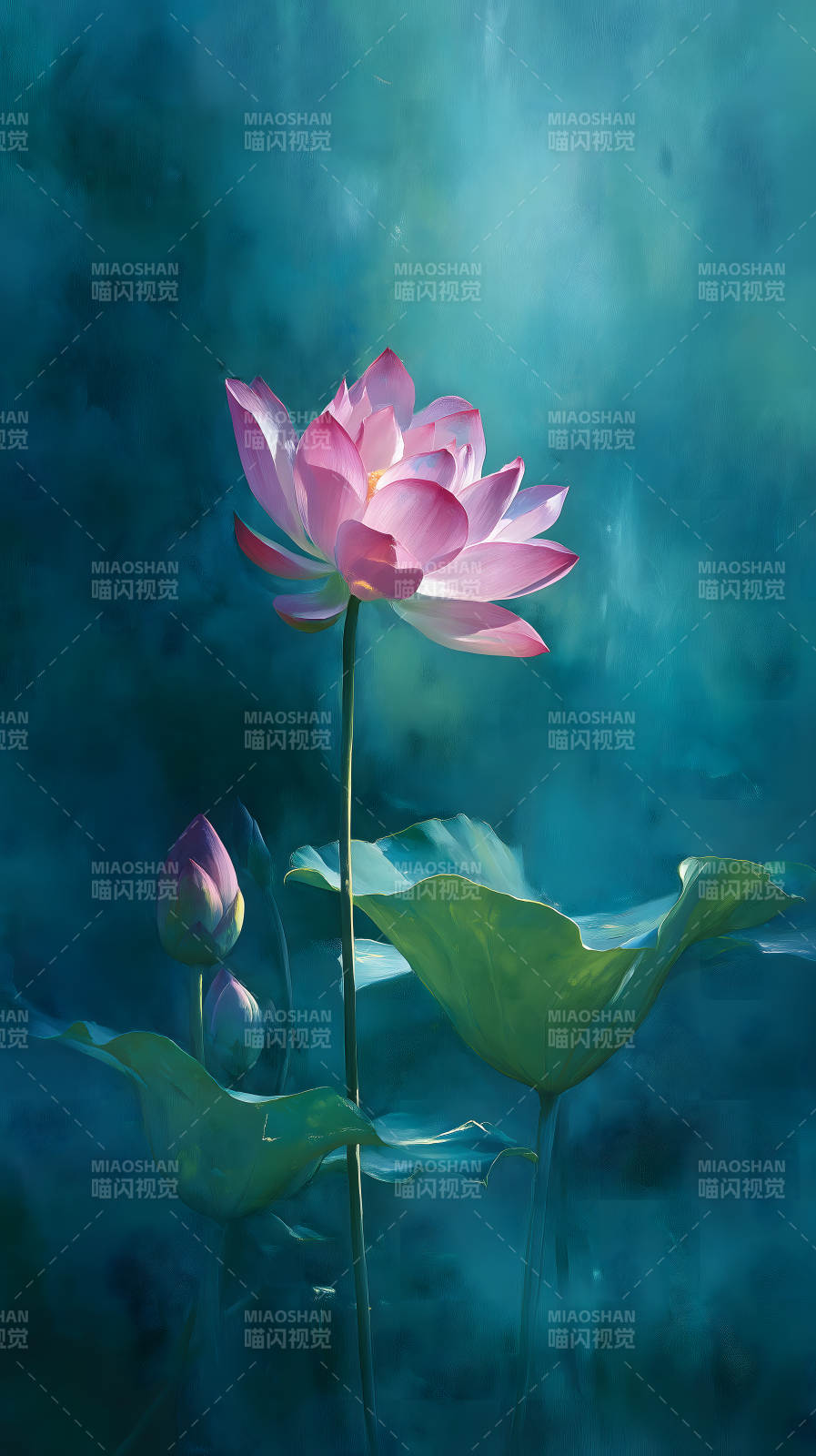 粉色蓮花綻放水中-圖片