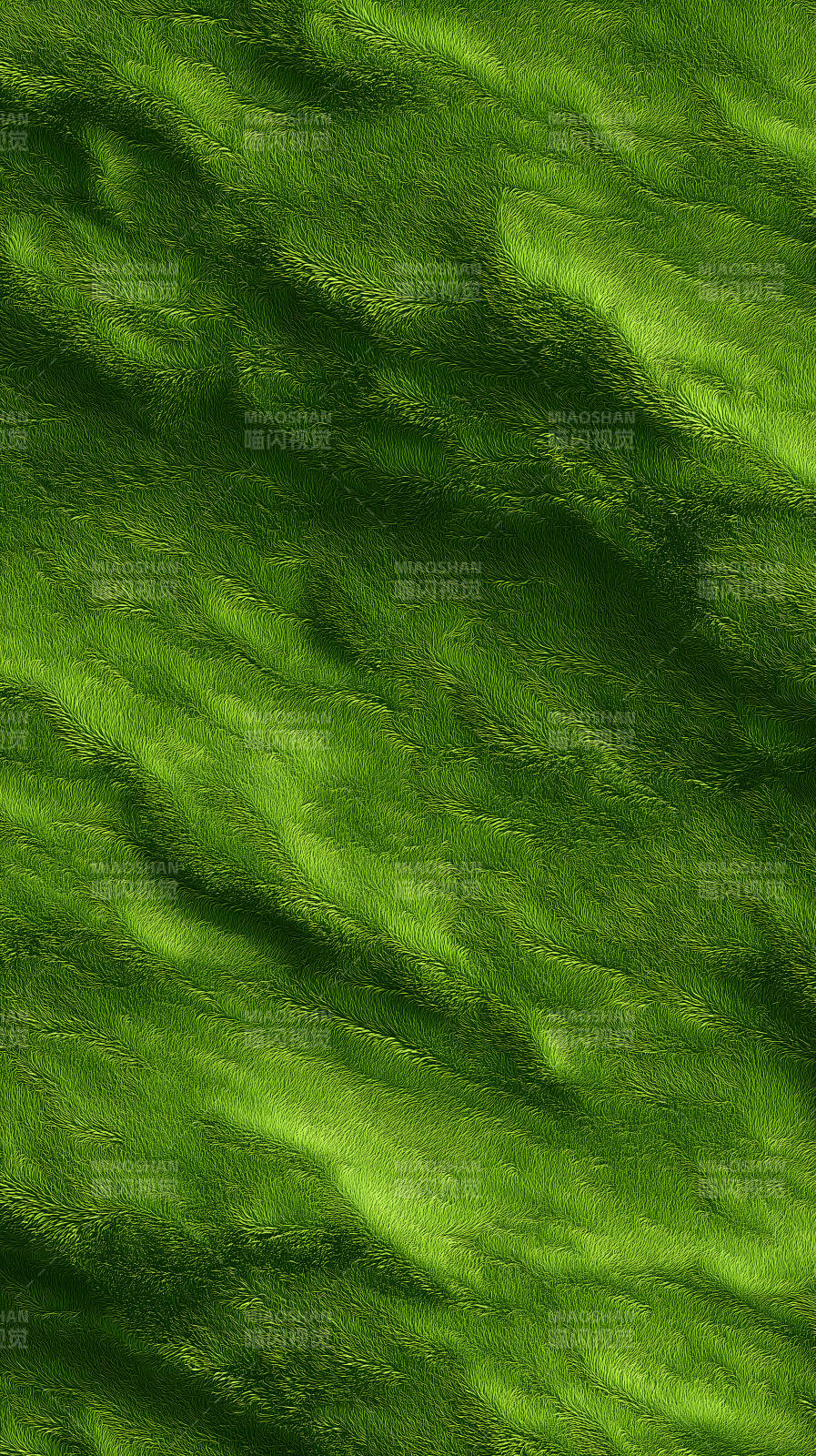 翠綠草地紋理豐富-圖片