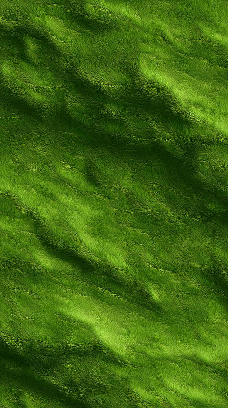 翠綠草地紋理豐富-圖片