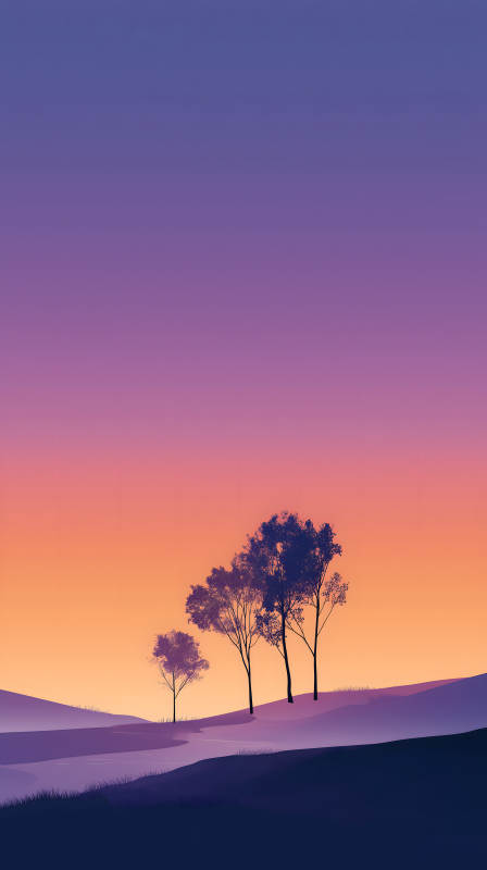 靜謐夕陽下的樹木剪影-圖片