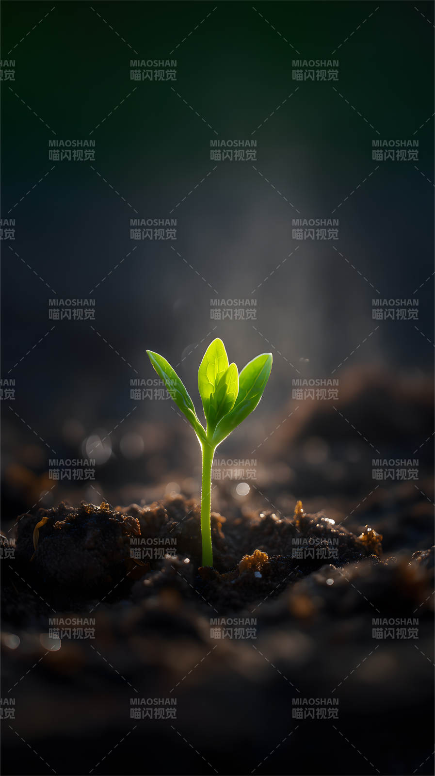 破土而出生命力-圖片