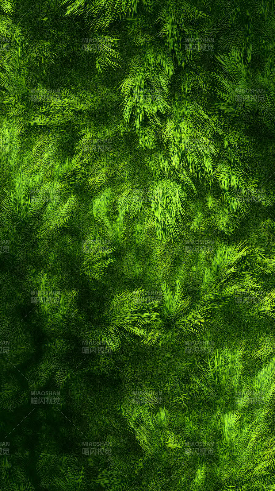 茂密綠植特寫-圖片