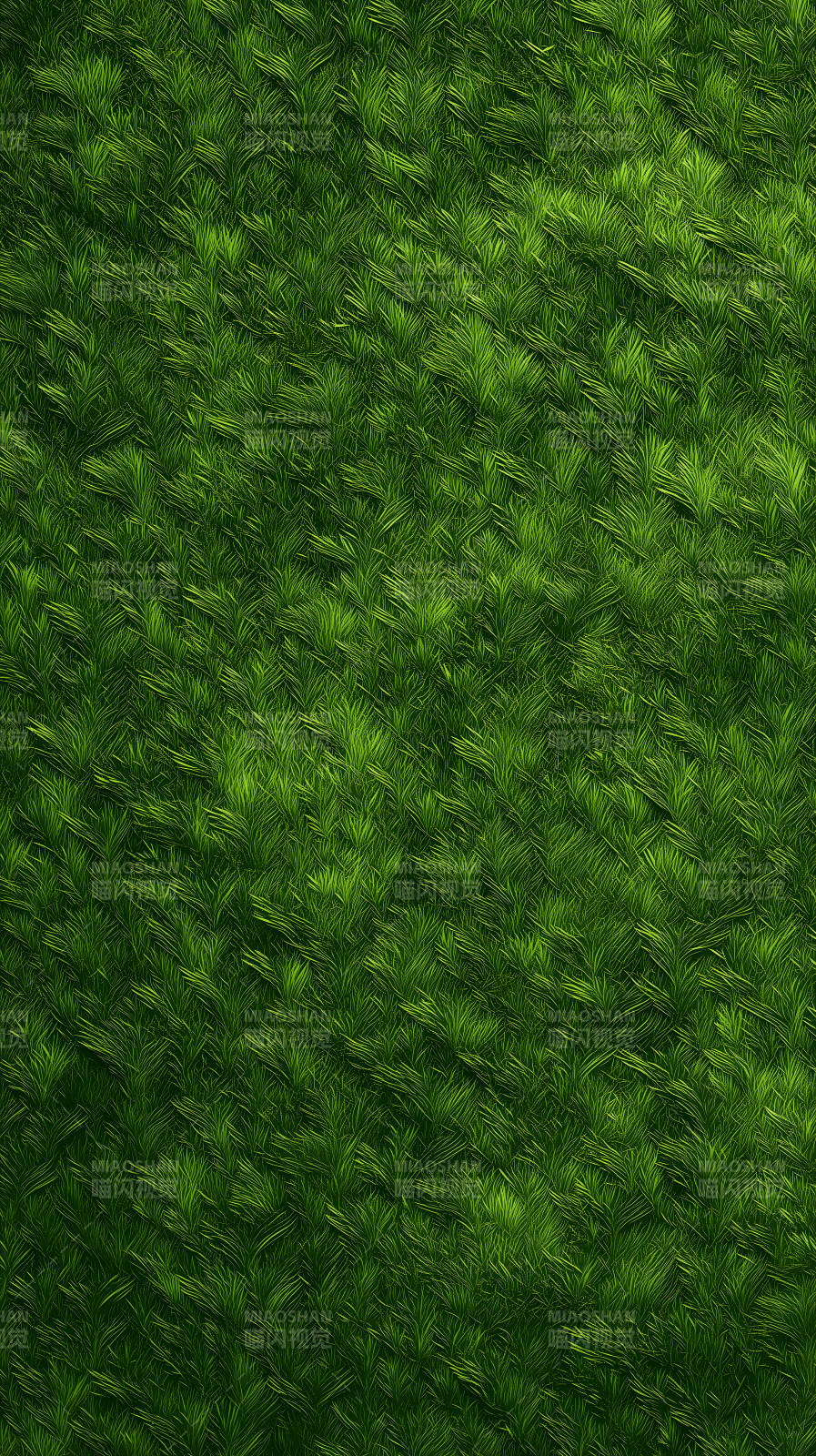 茂密綠草紋理細節-圖片