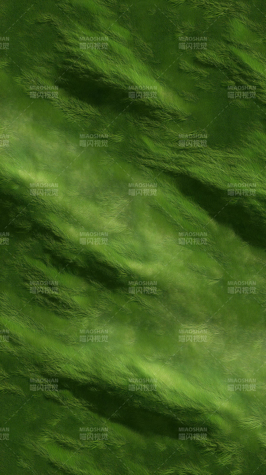 綠草地上的光影-圖片