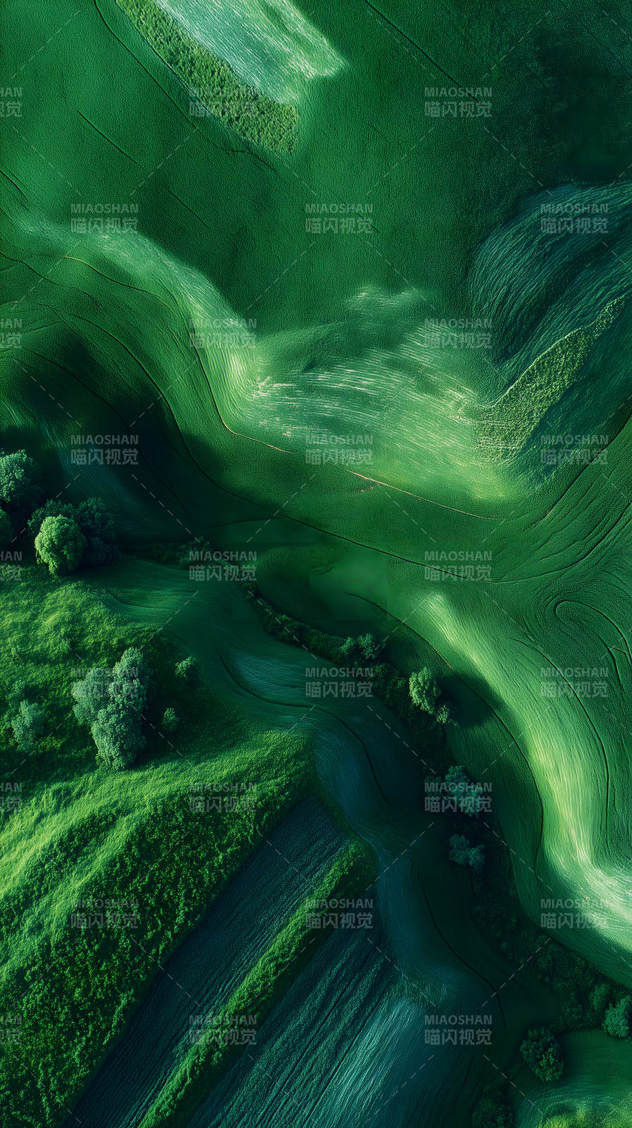 翠綠田野蜿蜒起伏景象-圖片