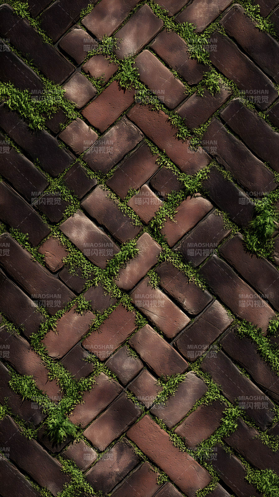 磚石小路植被生長-圖片