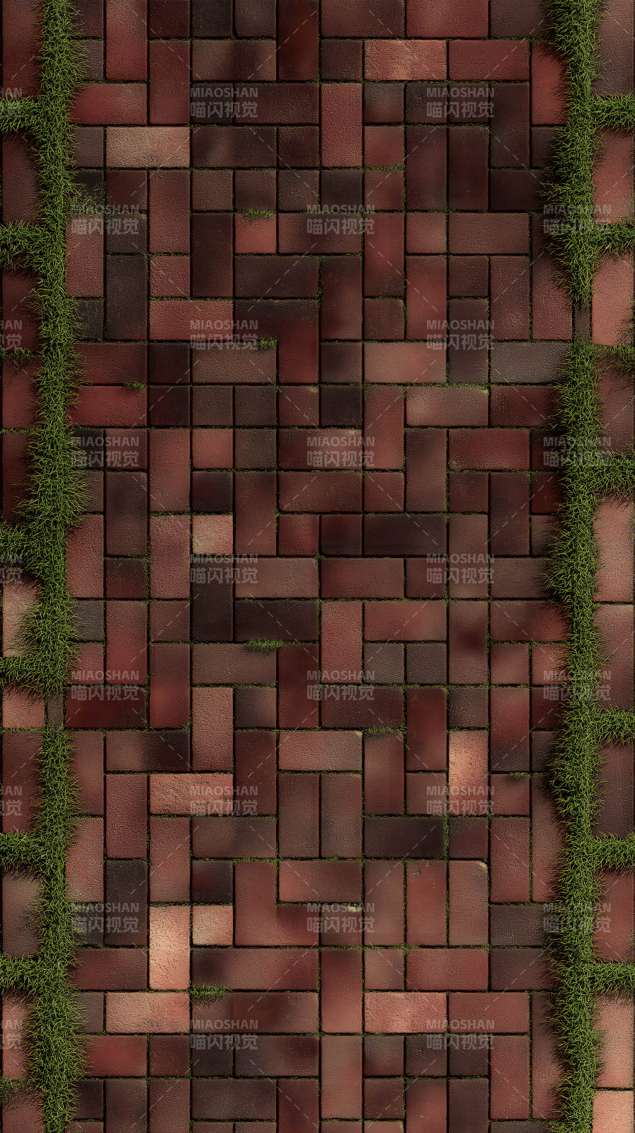紅磚鋪面植物點綴-圖片