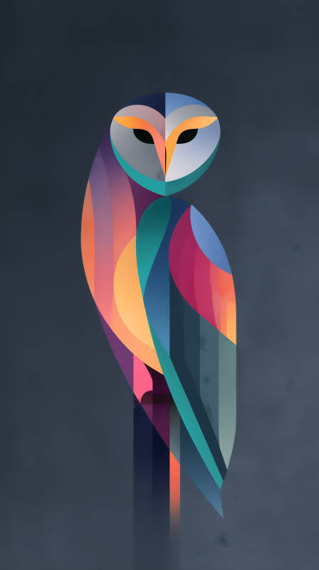 幾何貓頭鷹彩色簡約-圖片