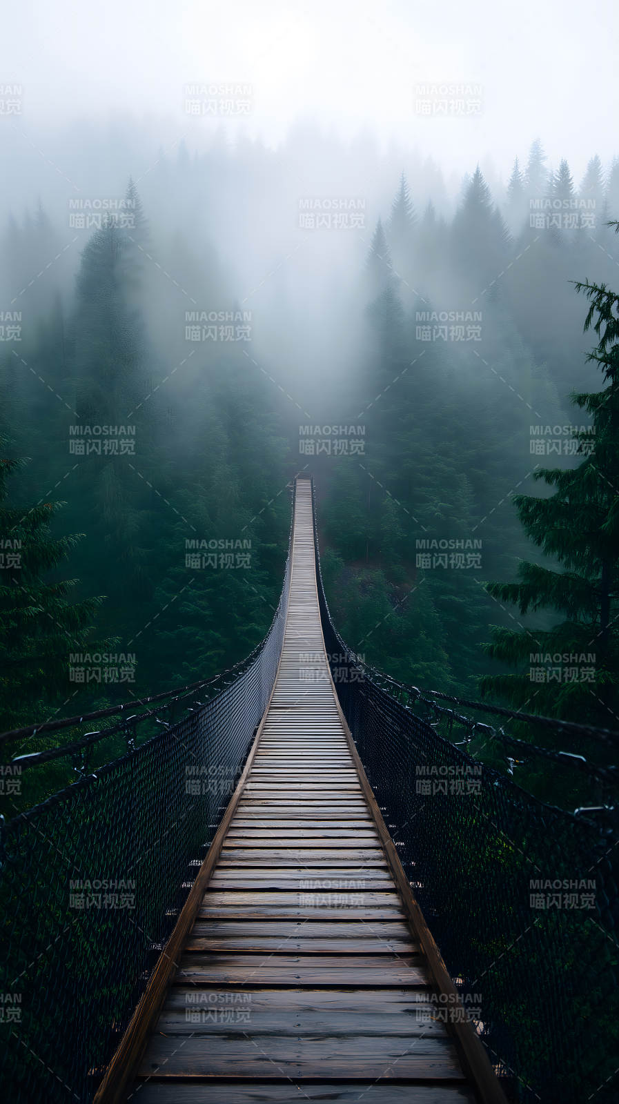 雾中吊桥森林深处-图片