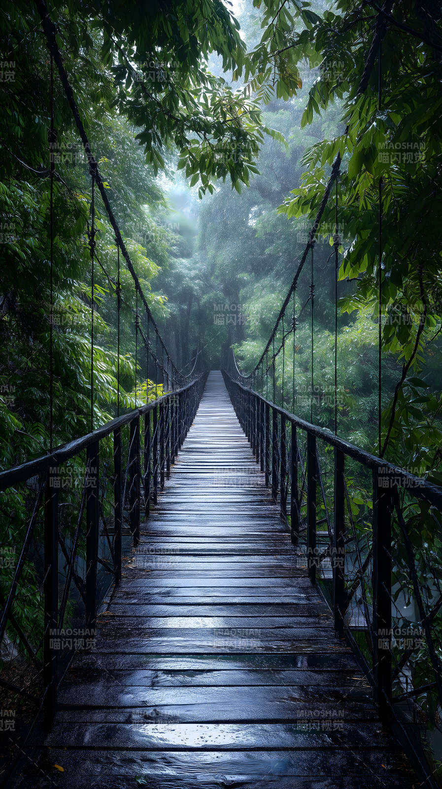 雨中吊桥森林深处-图片