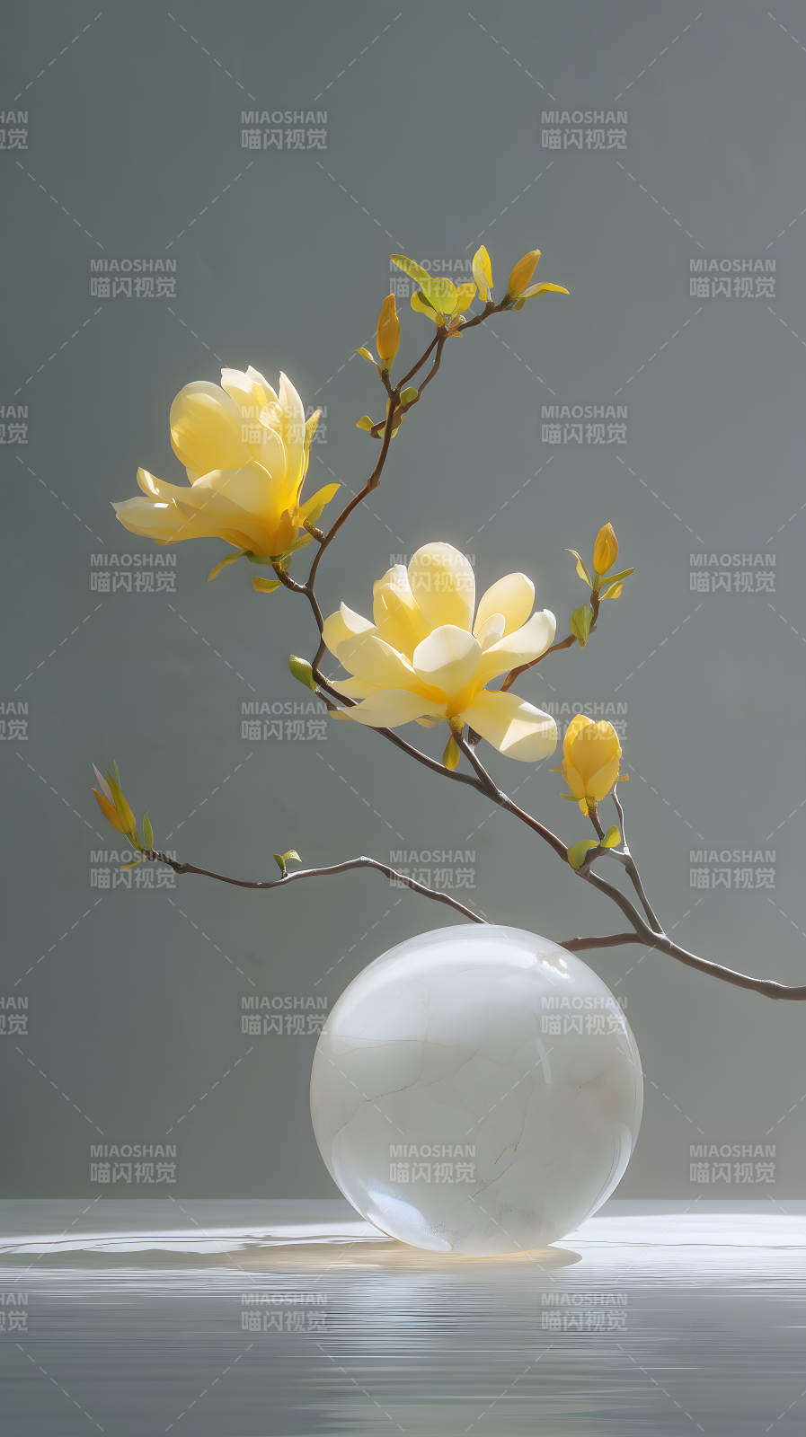 黃花白球靜物-圖片