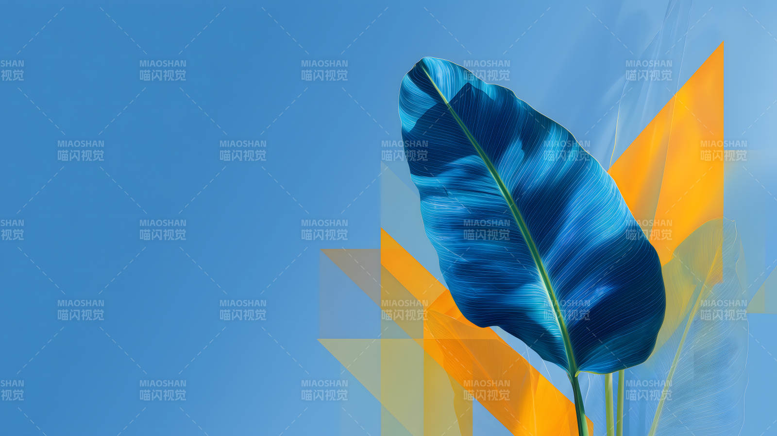 蓝色叶子与几何-图片