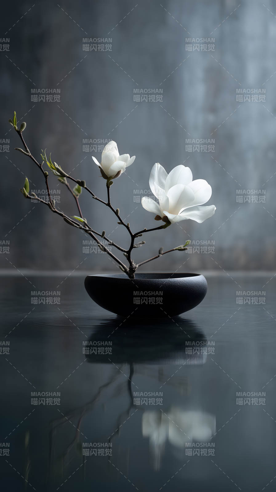 静谧花卉水中倒影-图片