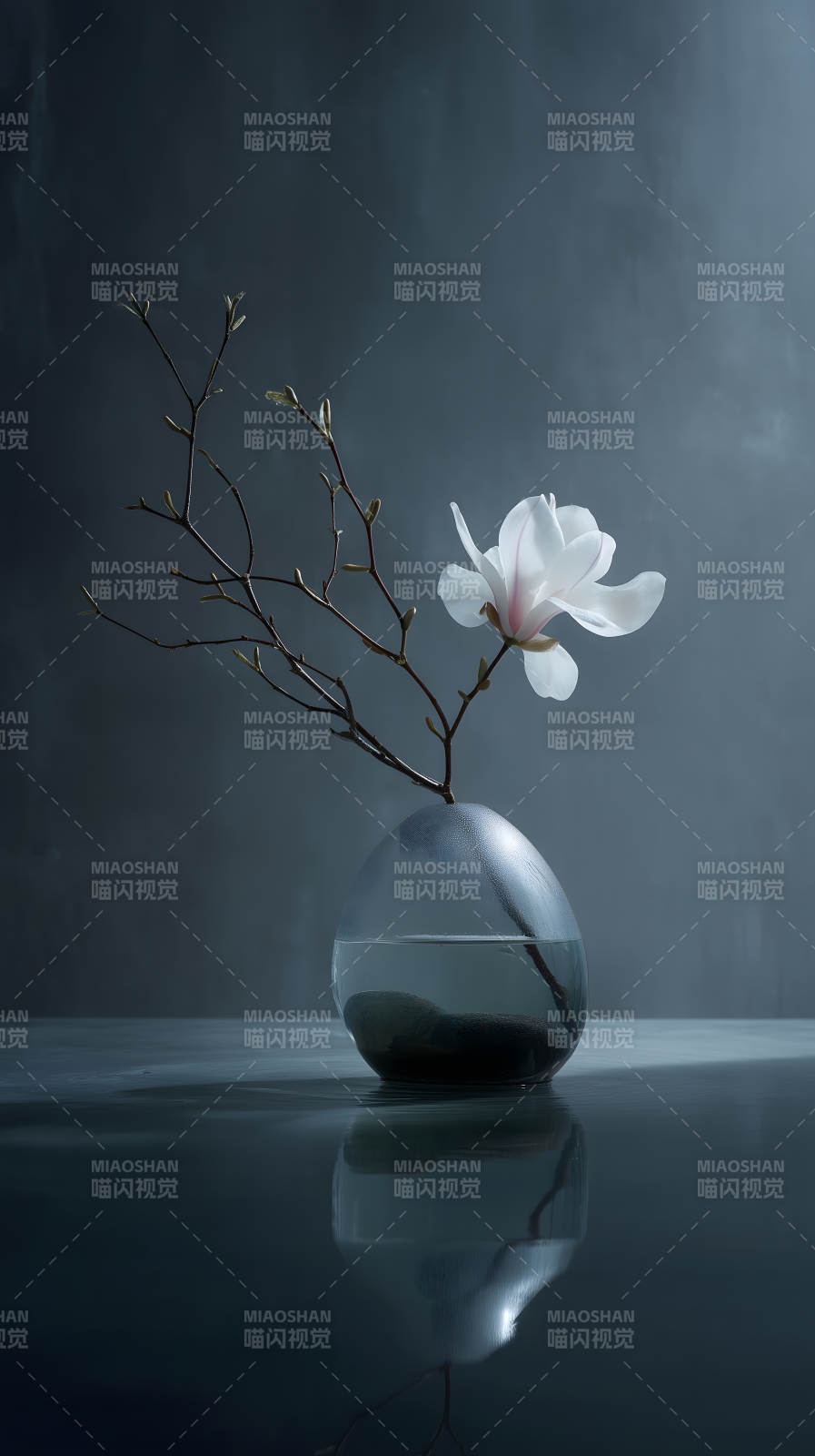 静谧花卉绽放-图片